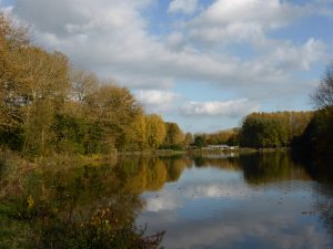 herfstzonnetje